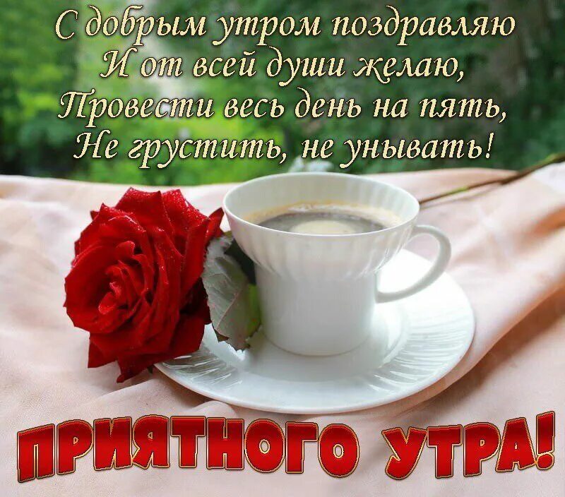 Трогательные стихи доброе утро. Красивые пожелания с добрым утром. Пожелания с добрым. Уа Тром. Открытки с добрым утром. Интересные поздравления с добрым утром.
