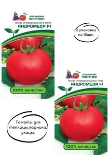 Андромеда томат описание