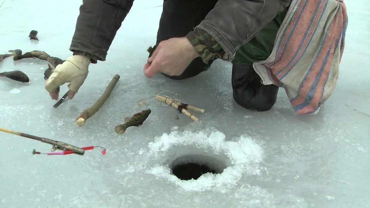 Ловля со льда видео. Ротан на жерлицы. Зимняя рыбалка ротан. Приманки для рыбалки зимой подо льдом. Ловля ротана зимой.
