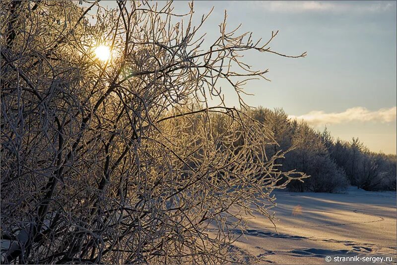 царит зима. царит зима. зимняя природа. снежная зима. утро февраля картинки.