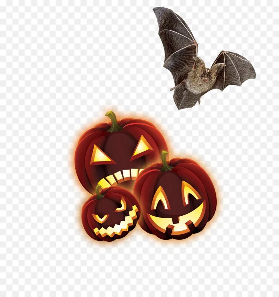 Тыква мышь. Джек о лантерн хэллоуин. helloween летучая мышь тыква. хэллоуинская тыква с летучей мышью. тыква на хэллоуин летучая мышь.