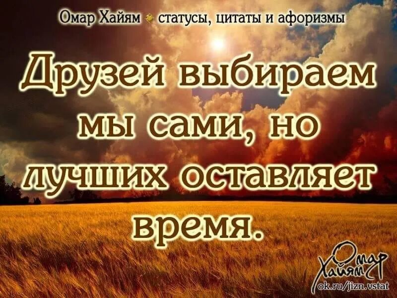 Дружба высказывания цитаты. Статусы афоризмы. про друзей высказывания. цитаты для статуса. хорошие цитаты.