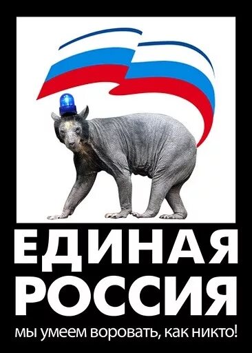 Едим россию фото