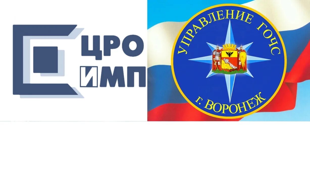 Мку цро. Го ЧС Воронеж. Управление по делам го и ЧС. Эмблема управления ГОЧС. МКУ ЦРОИМП Воронеж.