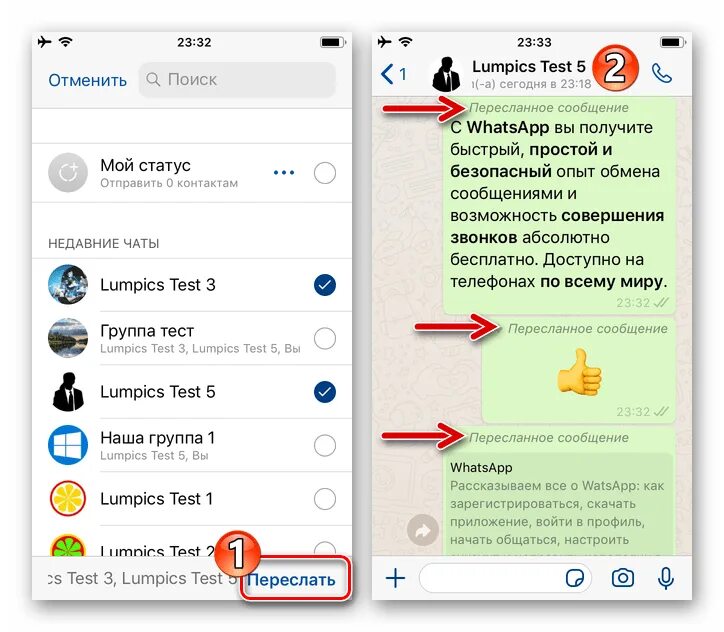 Как переслать сообщение в ватсапе. Whatsapp пересылка сообщений. отправка сообщений в ватсапе. как переслать сообщение в ватсапе на айфоне.