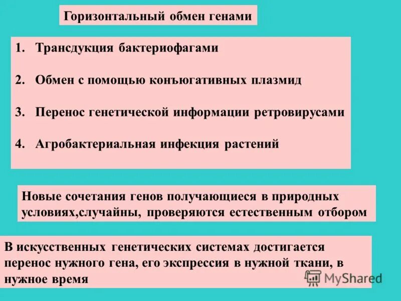 при половом размножении возникает новая комбинация генов. рекомбинационные параметры. механизмы возникновения комбинативной изменчивости. комбинативная изменчивость связана с. новые сочетания генов.