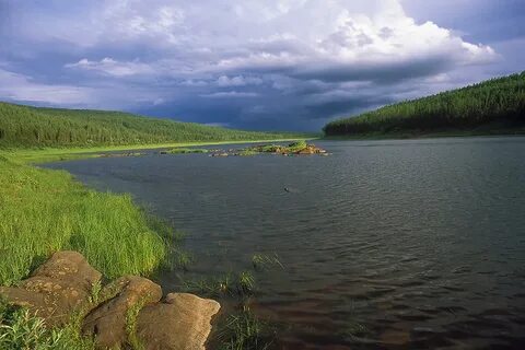 Подкаменная тунгуска