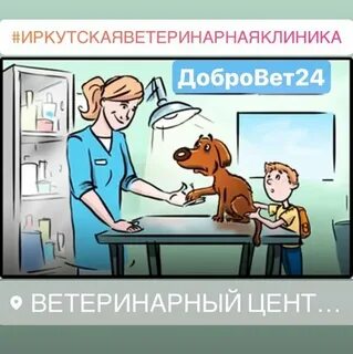 Картинки профессий ветеринар