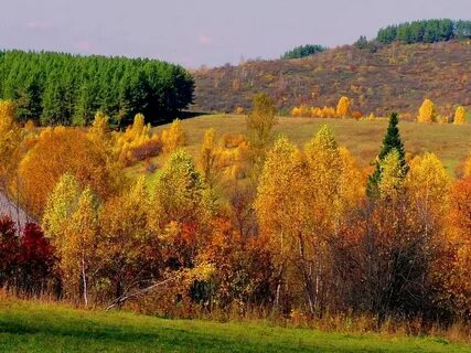 Ах осень осень золотая осень плюс