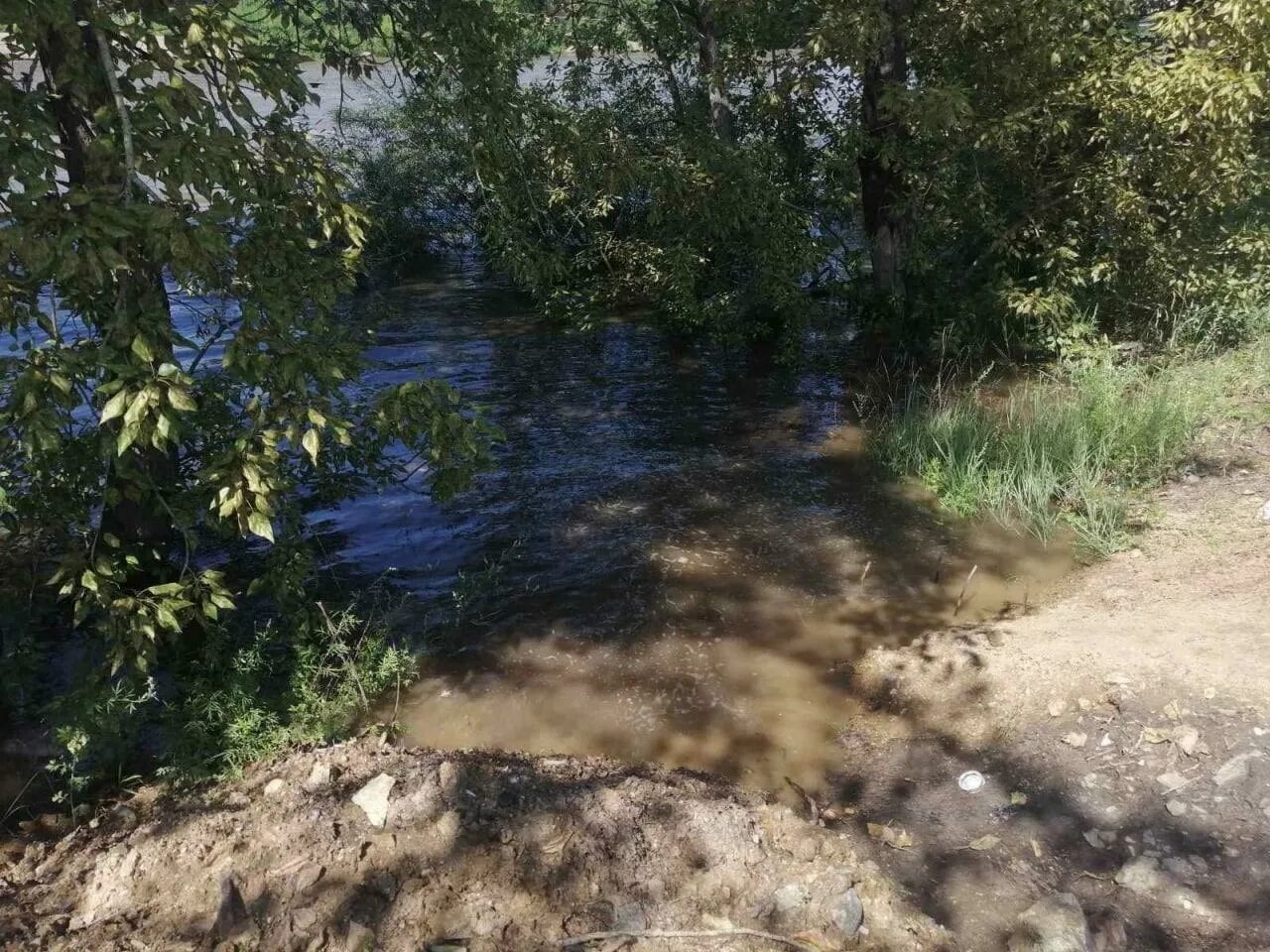 Сенной вода. Сенная вода. Прозрачная вода. Городской пляж новосибирск. Пляж сенная курья томск.