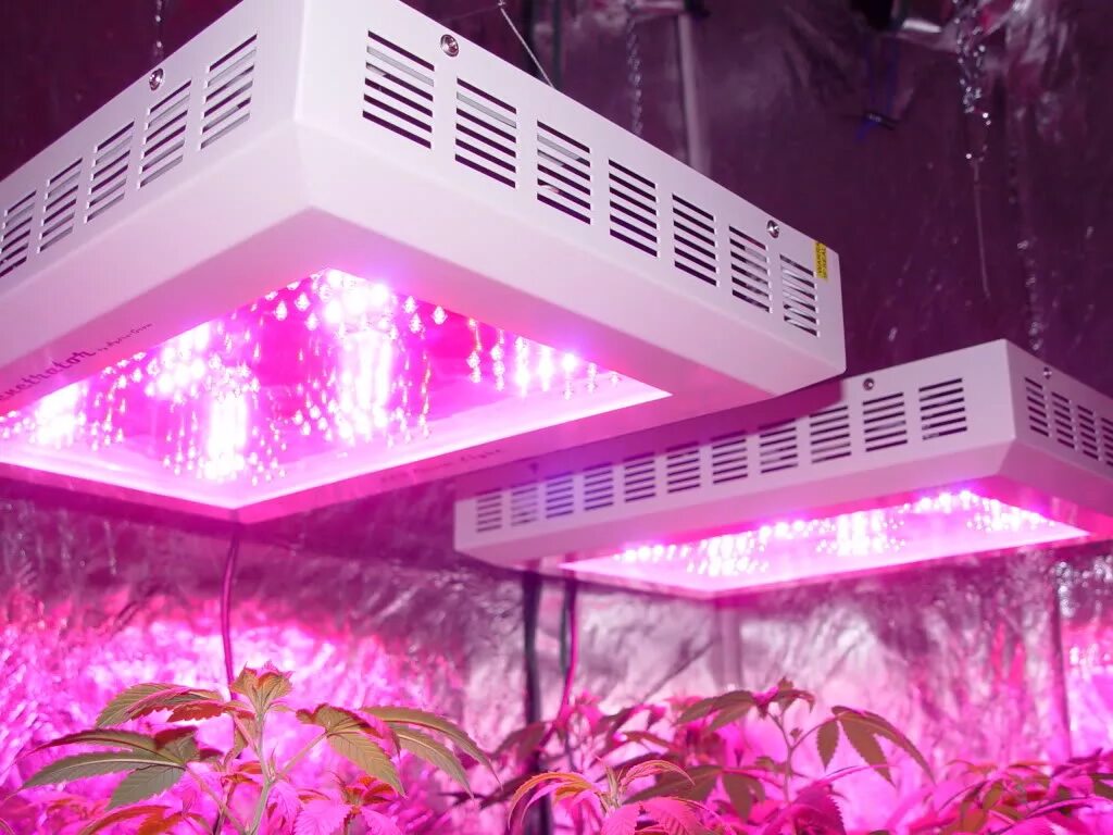 Фитолампа led grow Light. Лампы для рассады лэд лед 400w. Фито-светильник led grow14w (квадрат). Фито лампа для растений del grow Light.