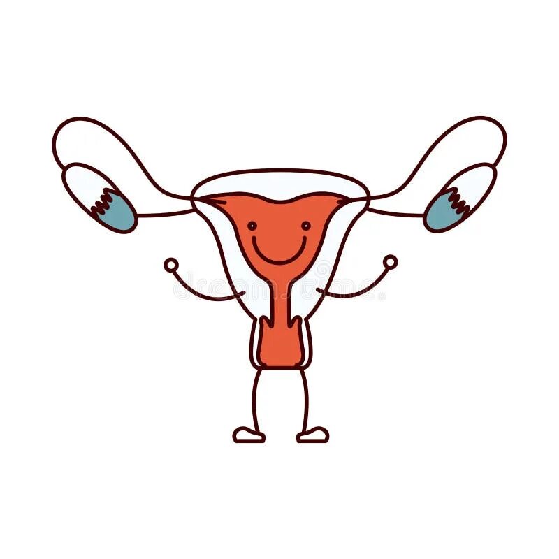 Матка рисунок. Веселая матка. Художественное изображение матки. Женская репродуктивная система рисунок.
