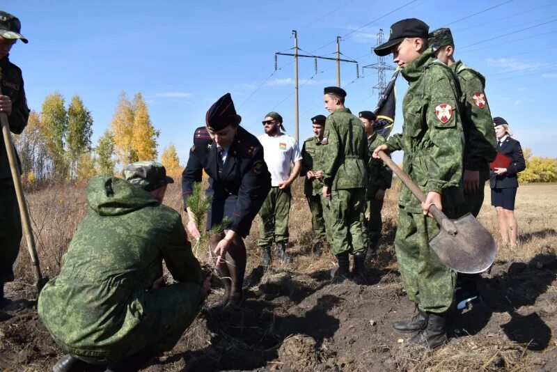 Новости куйбышева новосибирской. Полиция Куйбышев НСО. Территория обороны сегодня. Мобилизация г. Куйбышев Новосибирской области. Экология Куйбышевского района.