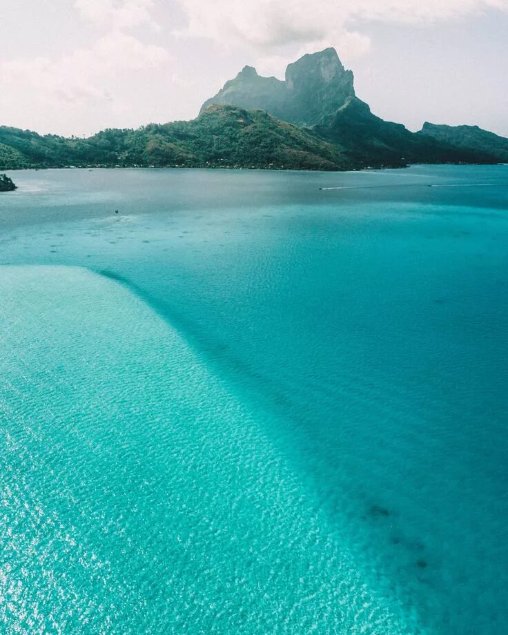 Bora Bora: A Tropical Paradise with Majestic Trees
