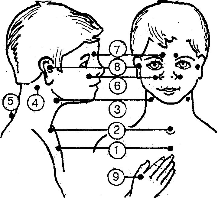 Точечный массаж по методике а.а Уманской. Уманская точечный массаж. Точечный массаж по методу Уманской. Точечный массаж Уманской для иммунитета.