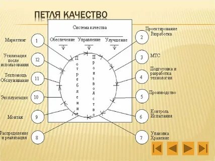 Жизненный цикл петля качества