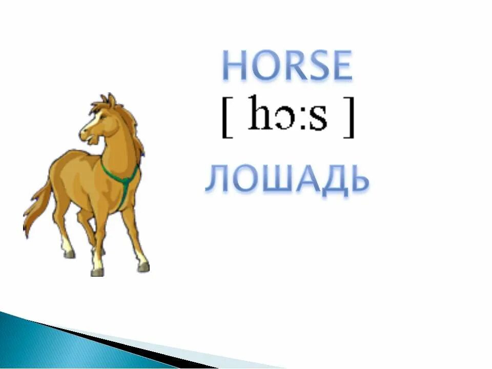 Лошадка по английски. Horse карточка по английскому. Карточки по английскому языку для детей лошадь. Английский карточки hourse. Карточки с английскими словами для детей лошадь.