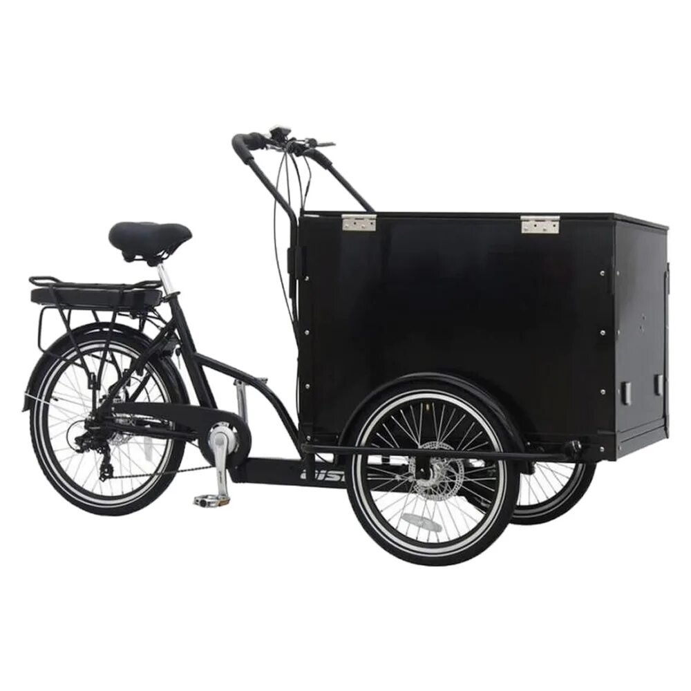 Велосипед Aist Cargo 1.1. Аист карго электровелосипед. Велосипед Aist Cargo 1.0 24. E-Cargo Aist 250 w.