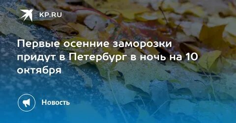 Ночью пришел первый заморозок