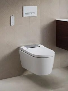 Туалеты geberit