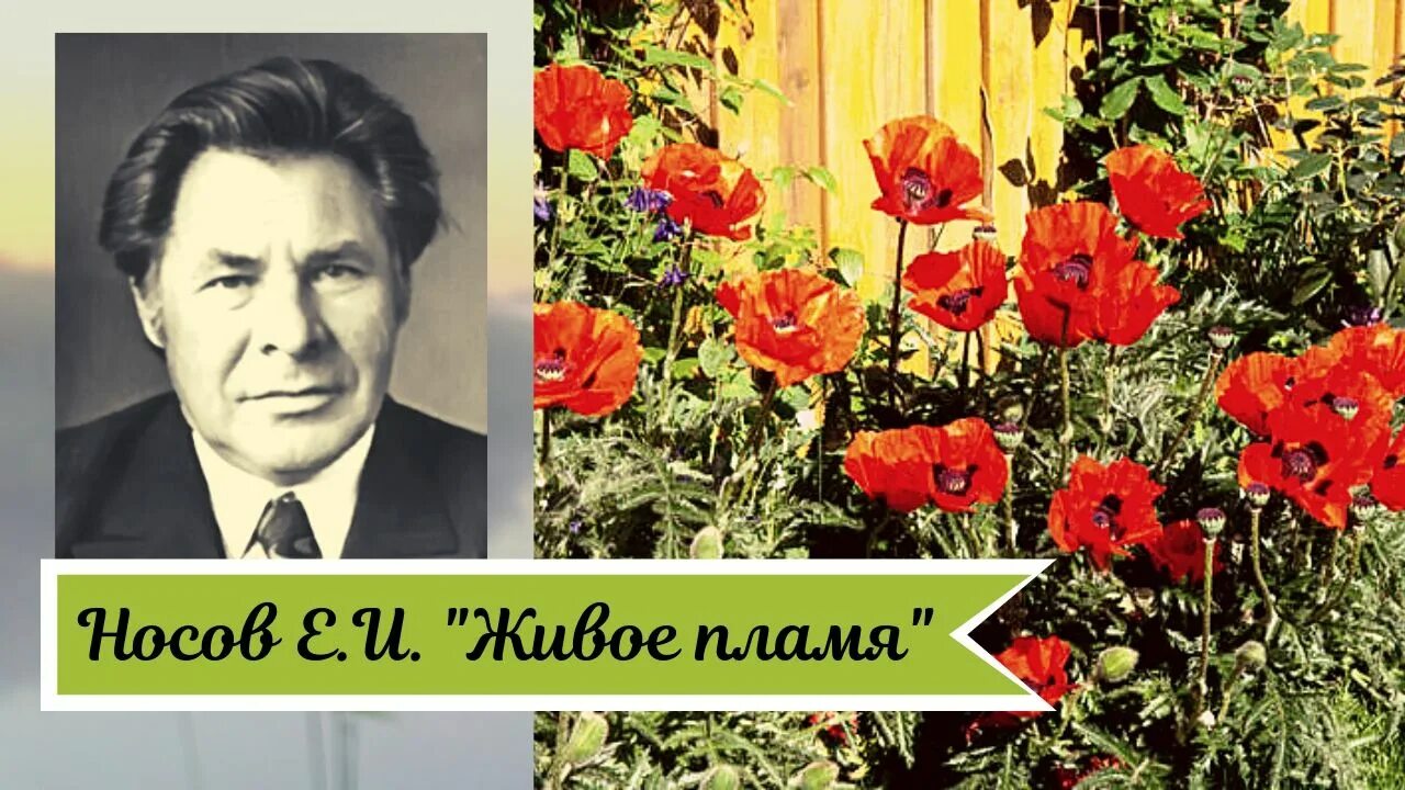 Что волнует писателя живое пламя. Носов е. "живое пламя".