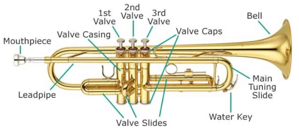 Музыкальный инструмент вода. Труба с тремя кнопками. Trumpet diagram. Trumpets еда. Trumpet Water Key.