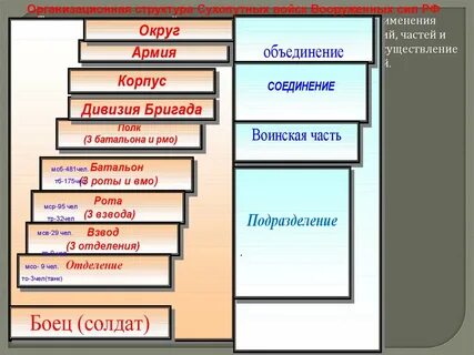 Сколько человек в роте батальоне и дивизии