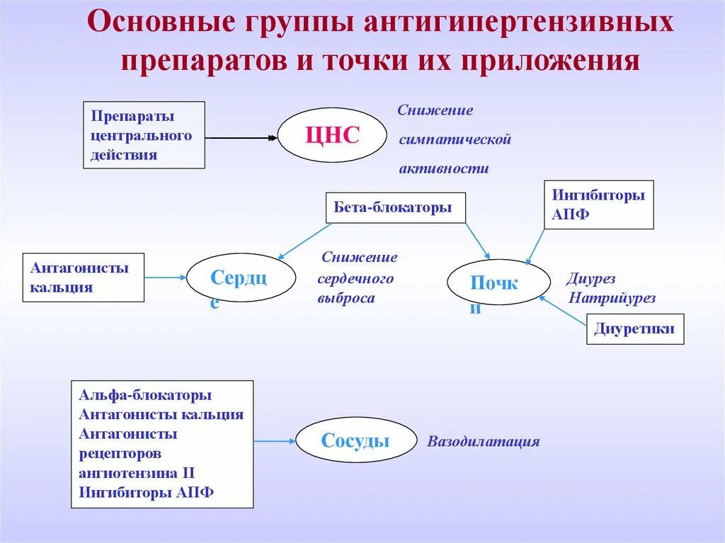 Схема группа с антигипертензивных средств. Основные группы антигипертензивных. Точки приложения антигипертензивных средств. Схема действия антигипертензивных средств. Ингибиторы апф бета