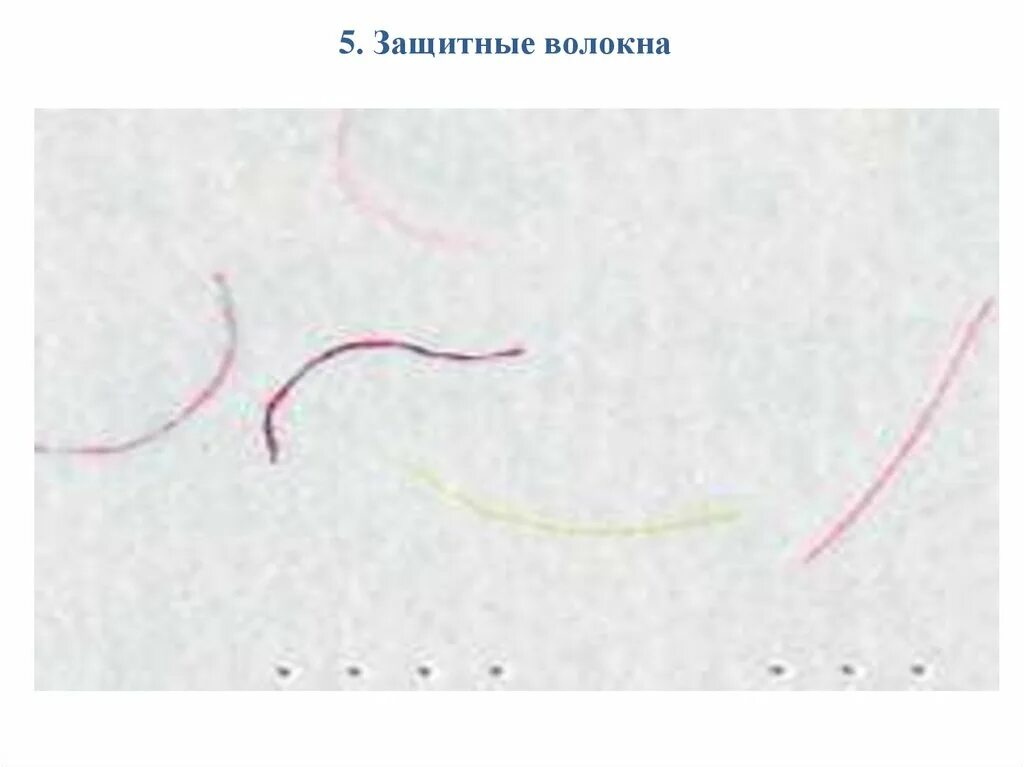 Защитные волокна на купюрах. Защитные волокна на банкнотах. Свойства защитных волокон. Защитные волокна. Какие защитные волокна обладают магнитными свойствами.