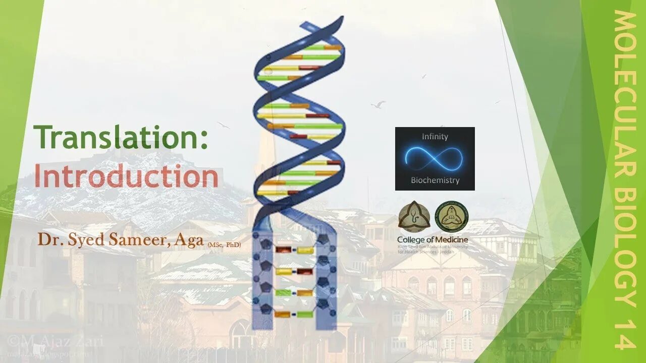 Introduction translation