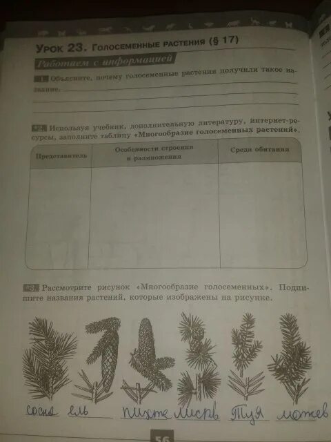 Рабочая тетрадь по биологии 5 класс Голосеменные растения. Рабочая тетрадь по биологии 5 класс. Биология 5 класс рабочая тетрадь стр 56. 5 Класс биология Пасечник задания. Биология 5 класс стр 16 ответы