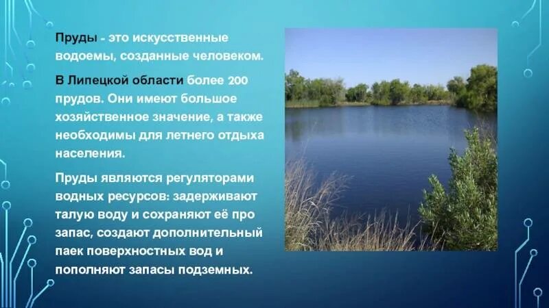 Значение водоема в природе. Водоёмы Липецкой области 4 класс. Водоемы нашей местности. Водные объекты Липецкой области. Водоемы Липецкой области презентация.