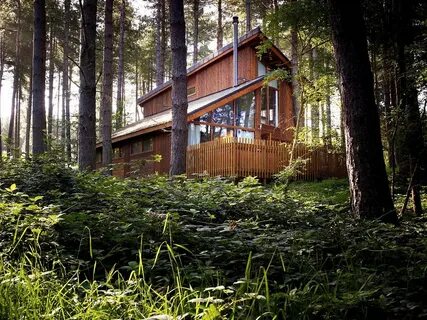 Forest holidays