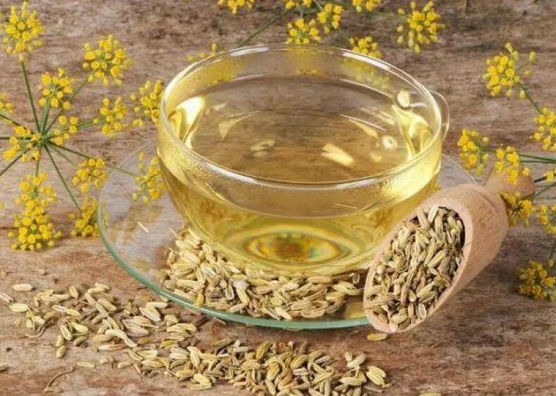 Водичка из семян укропа. Отвар из семян укропа при панкреатите.