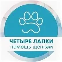 4 лапки набережные челны