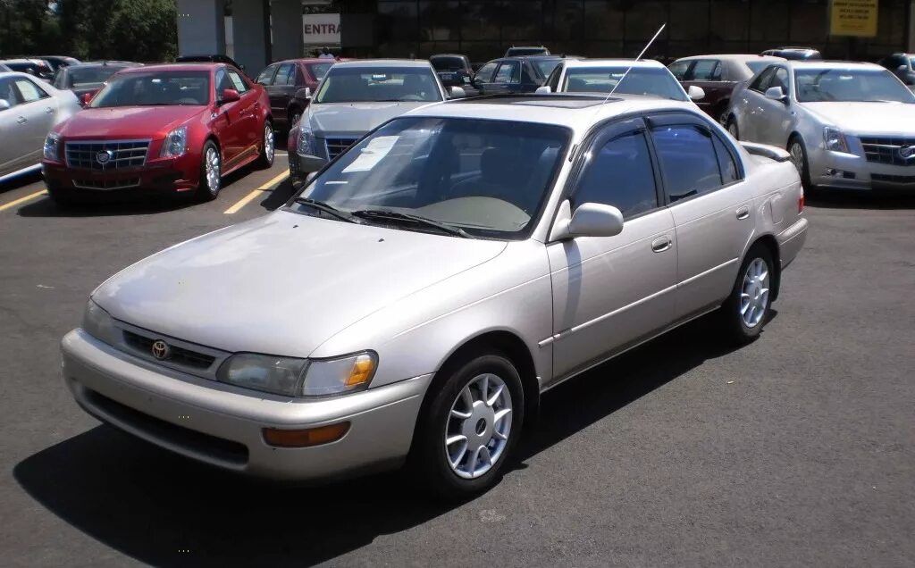 1997 года архив. Toyota Corolla 1998. Тойота Королла 1998. Тойота Королла 1998 года. Toyota Corolla 1998 года.