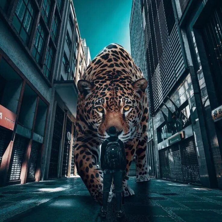3 д звери. Фотоманипуляции животных. Фотоманипуляции с тигром. Огромные животные в городе. Леопард сюрреализм.