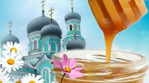 Источник 14 августа