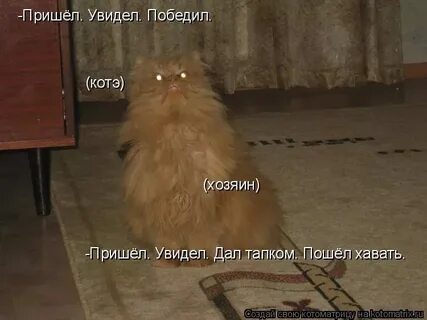 Хозяин победить