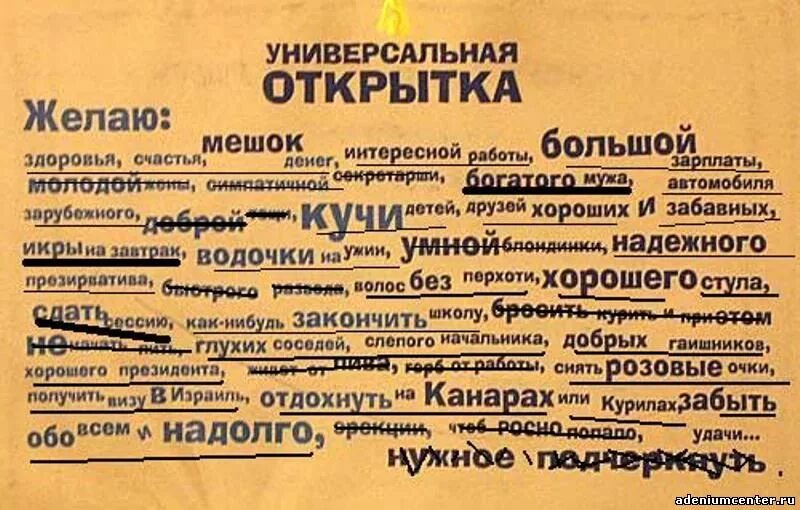Буквальный юмор в картинках. Оригинальные поздравления с днем ро. Прикольные слова. Необычные смешные слова. Пожелания на бумажках.