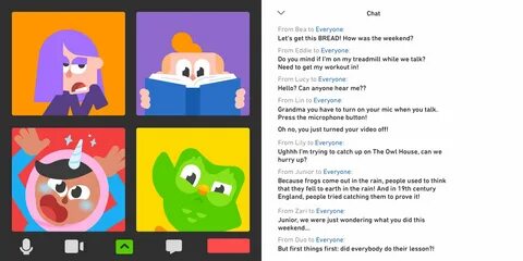 Lily duolingo rule 64 milk.