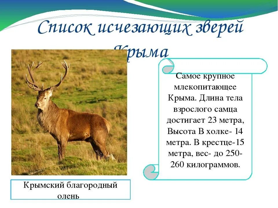 Животные крыма занесенные в красную
