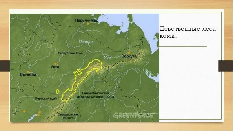 Объекты юнеско восточной сибири. Девственные леса Коми расположение на карте России. Девственные леса Коми на карте России. Девственные леса Коми на контурной карте. Девственные леса Коми расположение.