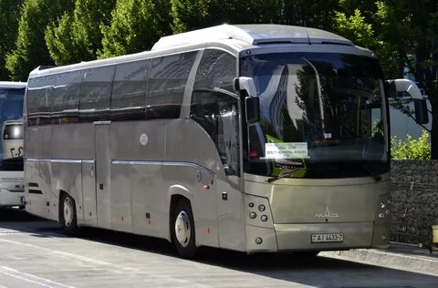 Автобусные экскурсии в белоруссию из москвы