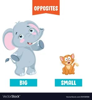 Opposites but