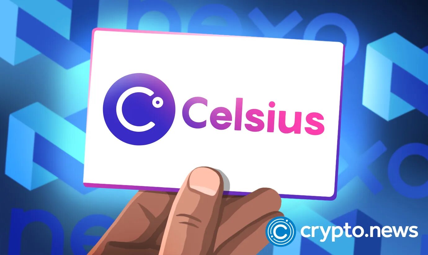 Celsius network. Crypto news надпись. crypto news. celsius network women.