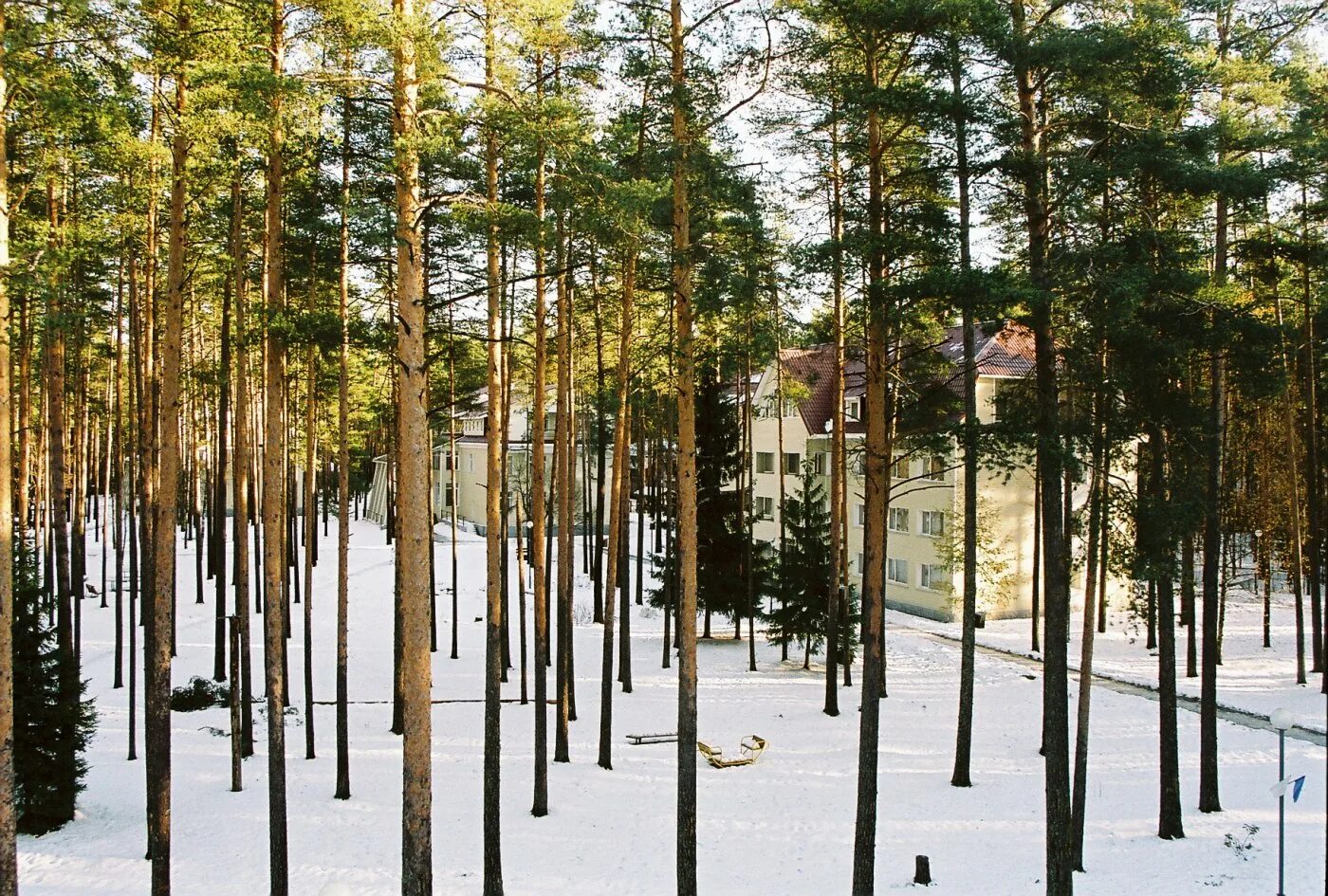 рощино ул фабричная. отель райвола в рощино. посёлок рощино ленинградская область. рощино ленинградская область райвола. работа в рощино.