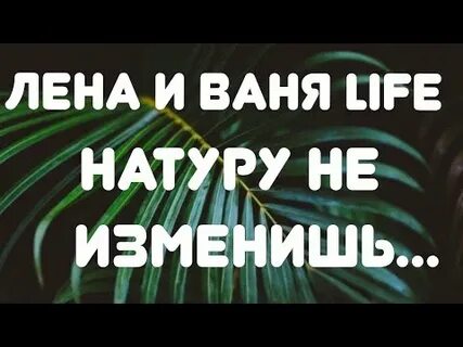 Обзоры на лену лайф