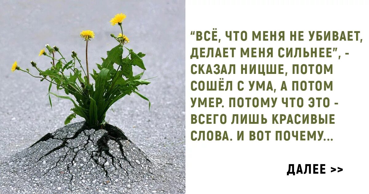 Цитата делает нас сильнее. Делает нас сильнее. Все что меня ломает, делает меня сильнее.