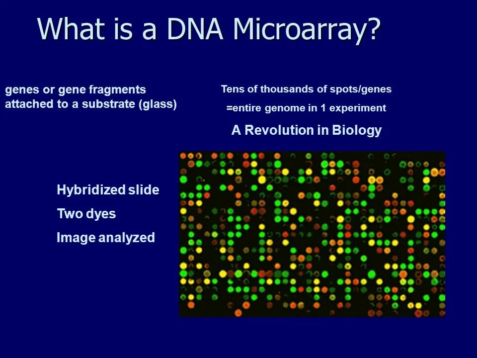 Microarray patch. Microarray patch